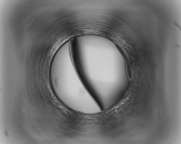 X0000097970241200803241025