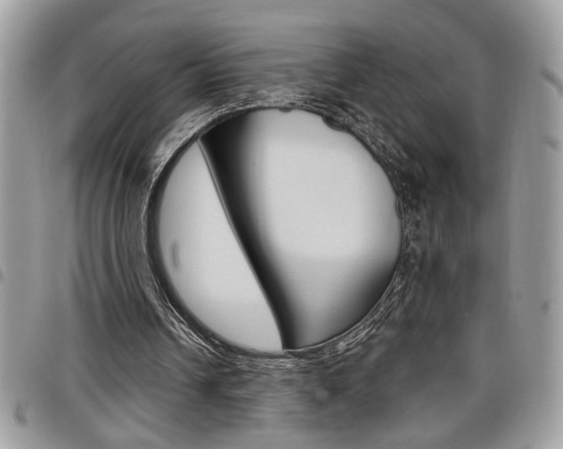 X0000097970242200803241025