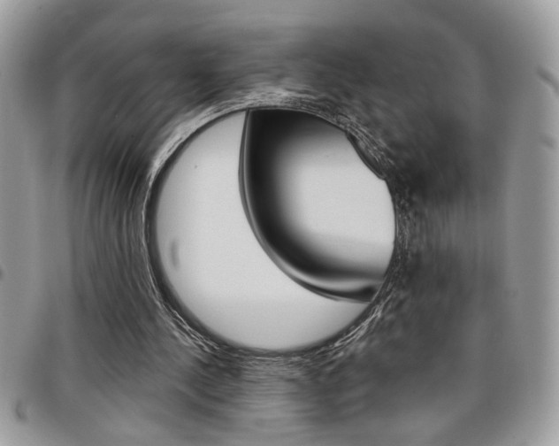 X0000097970244200803241025