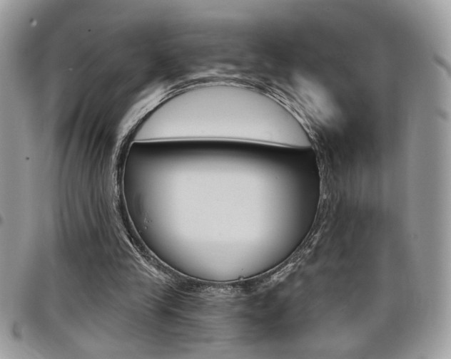 X0000097970245200803241025