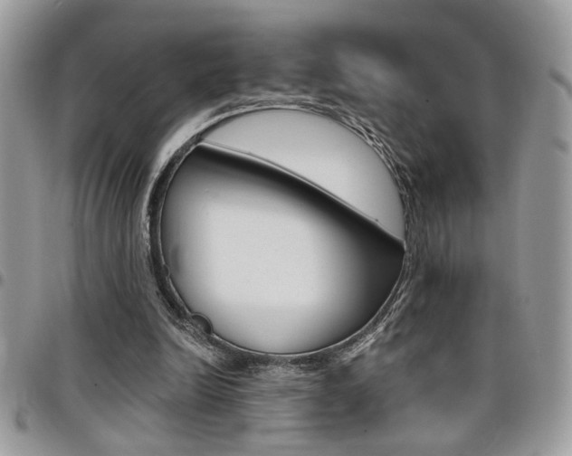 X0000097970246200803241025