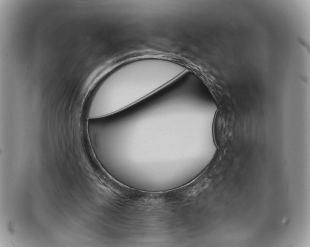 X0000097970247200803241025
