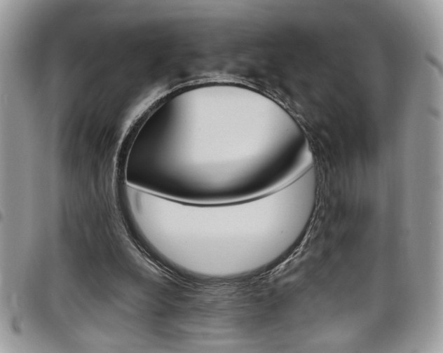 X0000097970248200803241025