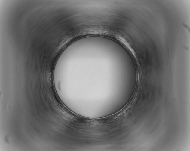 X0000097970249200803241025