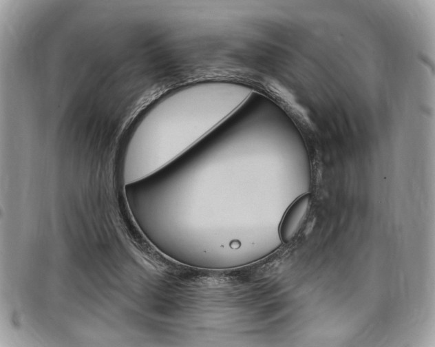 X0000097970250200803241025