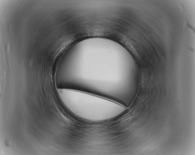 X0000097970251200803241025
