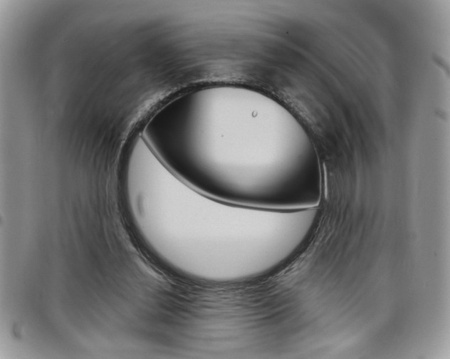 X0000097970252200803241025