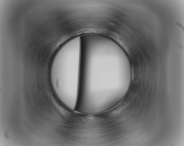 X0000097970253200803241026