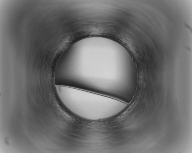 X0000097970257200803241026