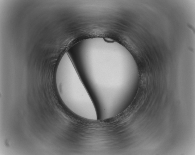 X0000097970259200803241026