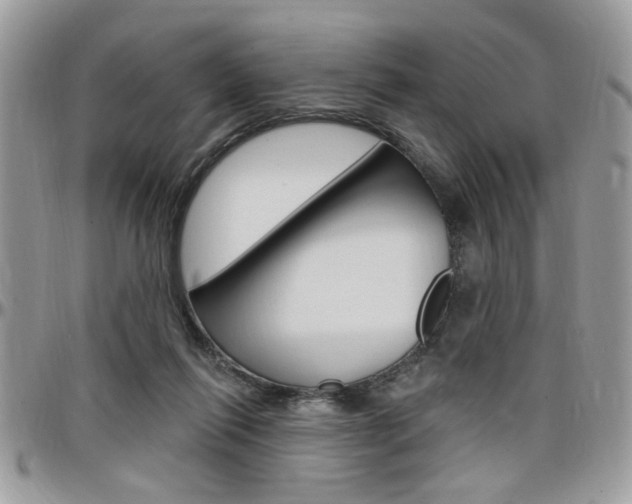 X0000097970262200803241026