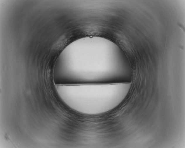 X0000097970263200803241026