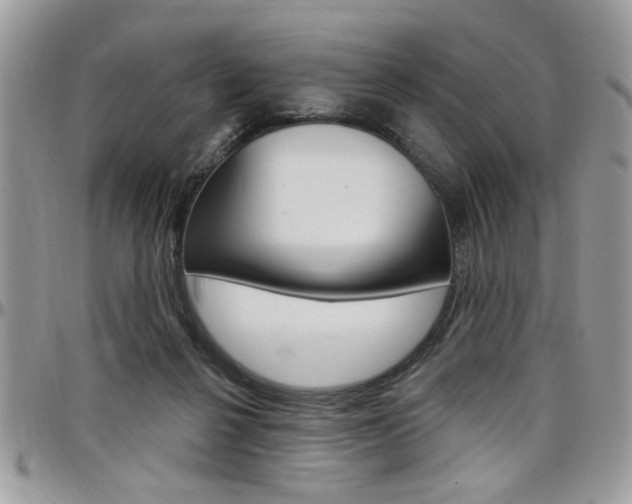 X0000097970264200803241026