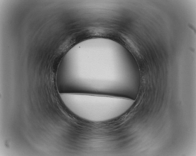 X0000097970265200803241026