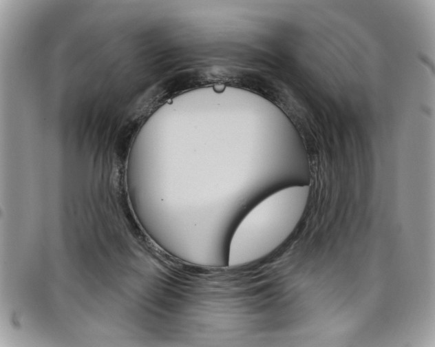 X0000097970266200803241026