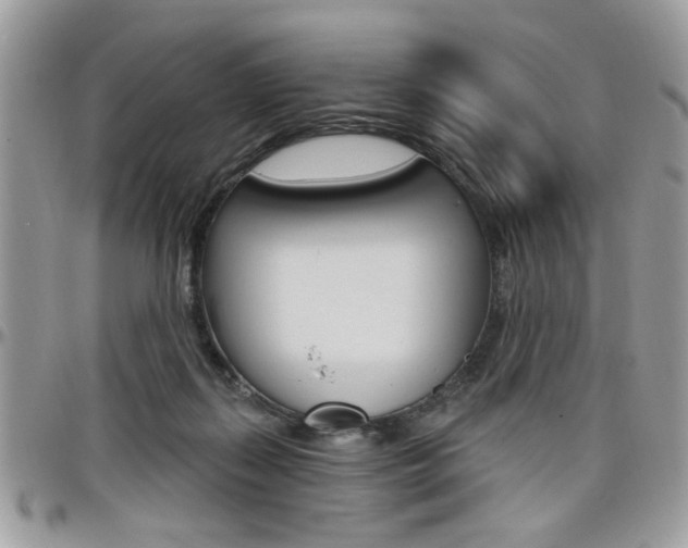 X0000097970267200803241026