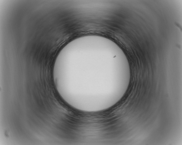 X0000097970268200803241026