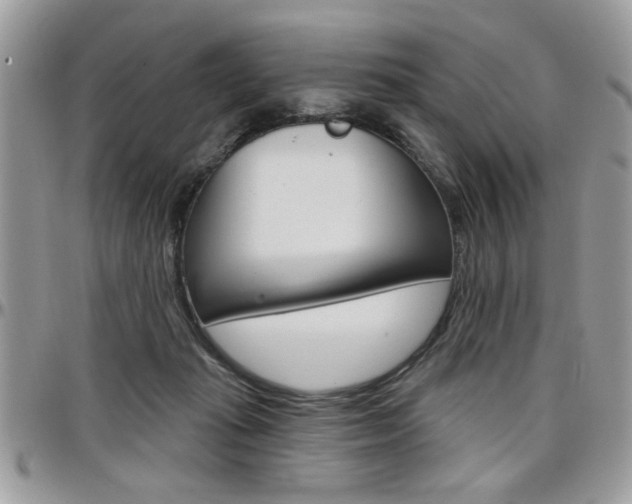 X0000097970269200803241026