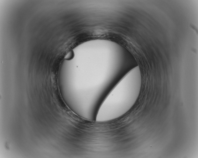 X0000097970270200803241026
