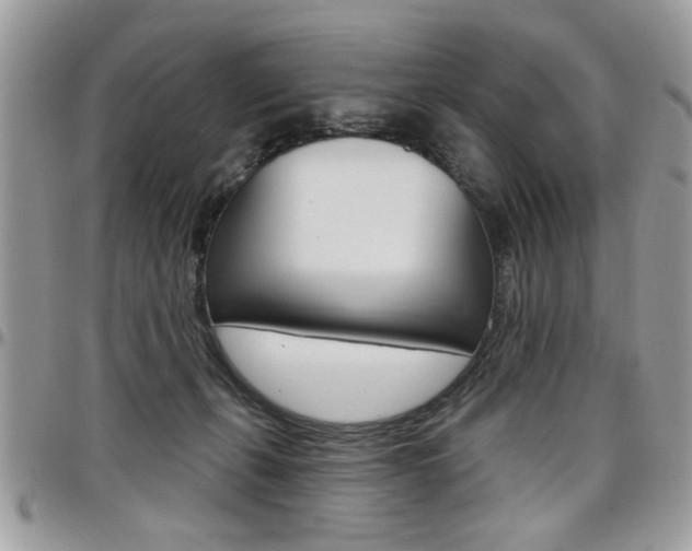 X0000097970271200803241026