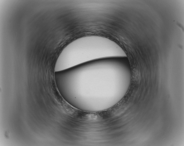 X0000097970272200803241026