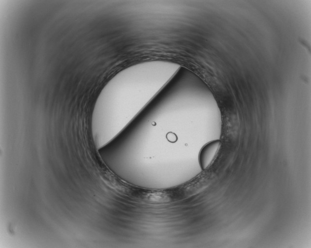 X0000097970275200803241026