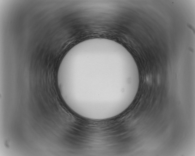 X0000097970276200803241026