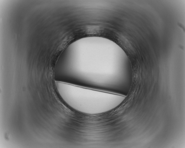 X0000097970277200803241026