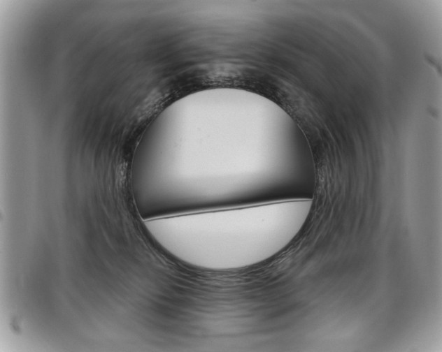 X0000097970278200803241026