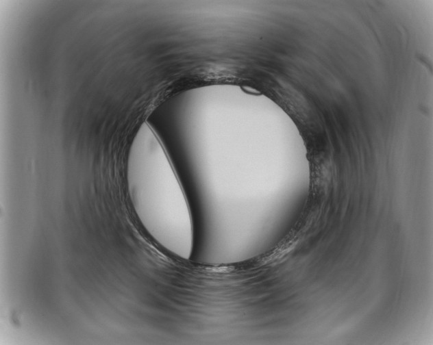 X0000097970281200803241026