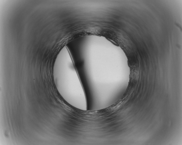 X0000097970285200803241026