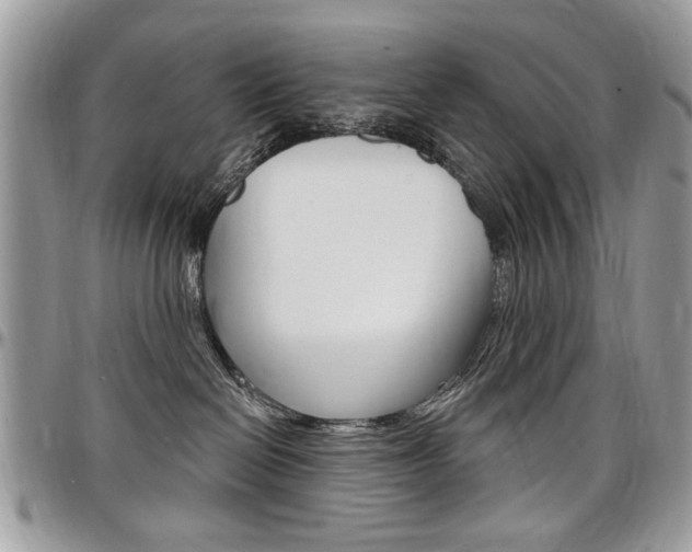 X0000097970286200803241026