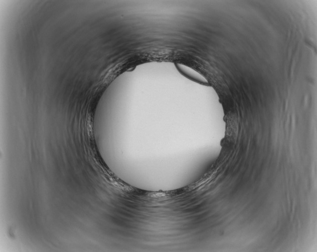 X0000097970287200803241026