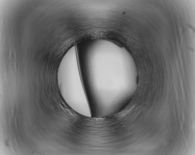 X0000097970288200803241026