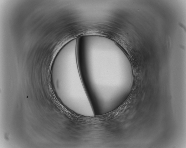 X0000097970289200803241025