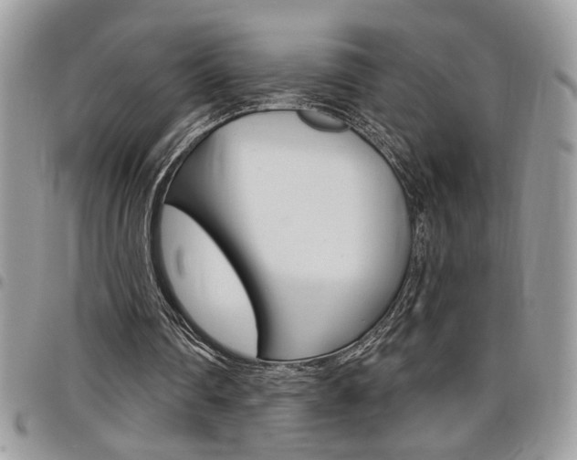 X0000097970290200803241025