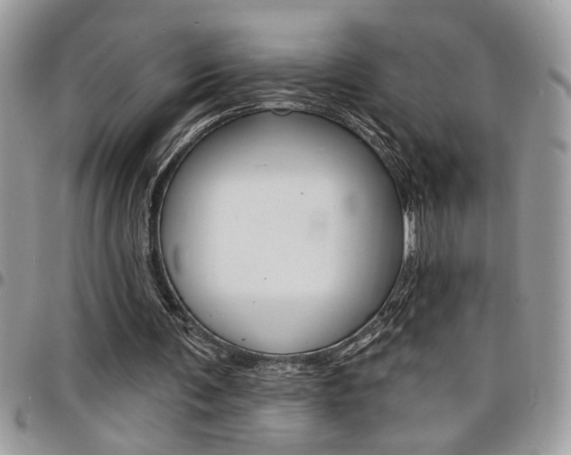X0000097970291200803241025