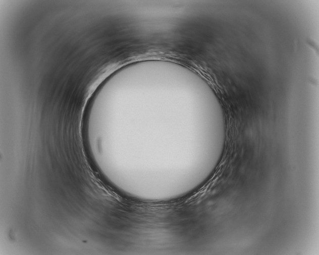X0000097970292200803241025