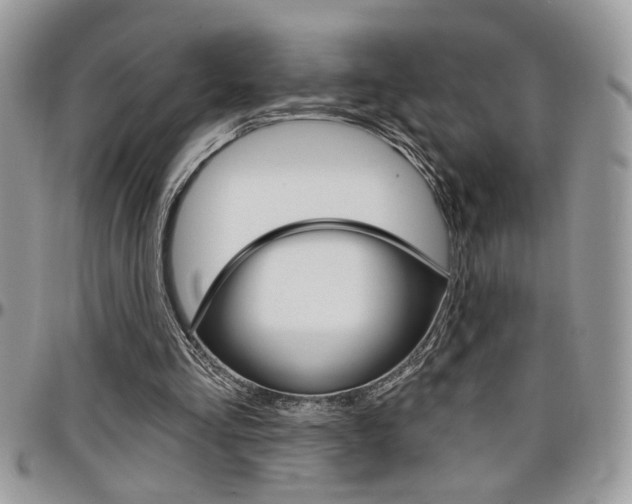 X0000097970293200803241025