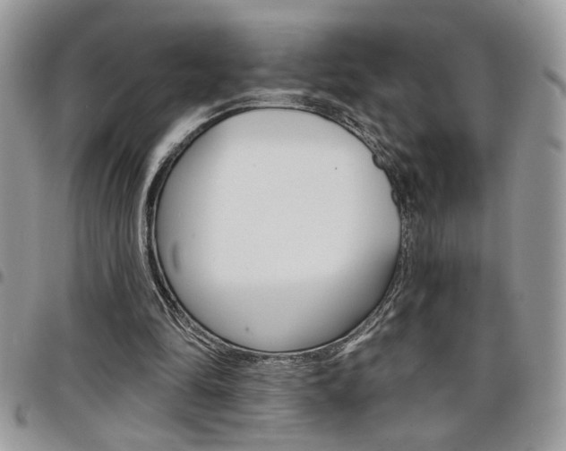 X0000097970294200803241025