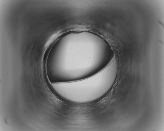 X0000097970296200803241025