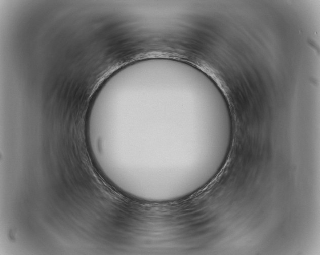 X0000097970297200803241025