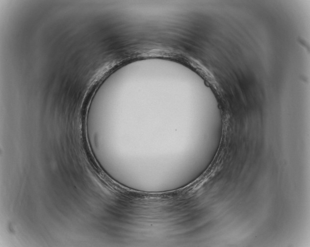 X0000097970298200803241025