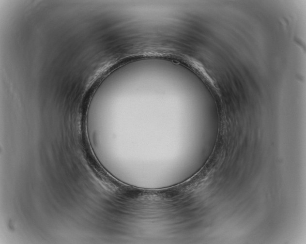 X0000097970299200803241025