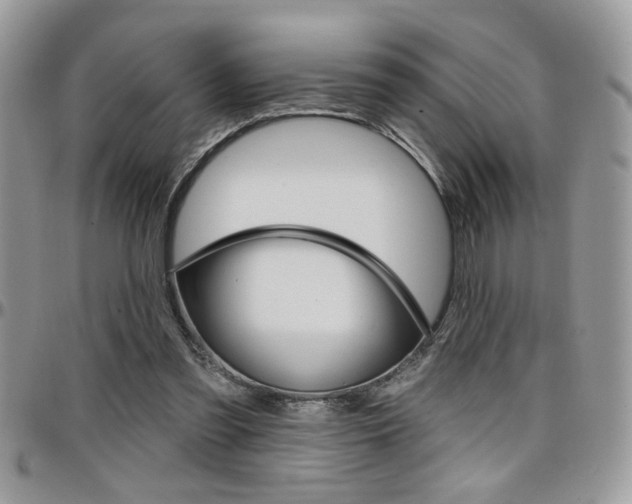 X0000097970301200803241025