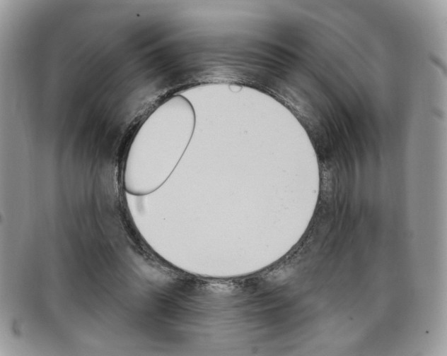 X0000097970302200803241025