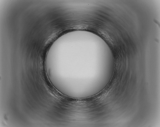 X0000097970303200803241025
