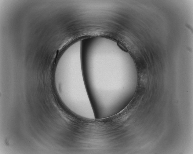 X0000097970304200803241025