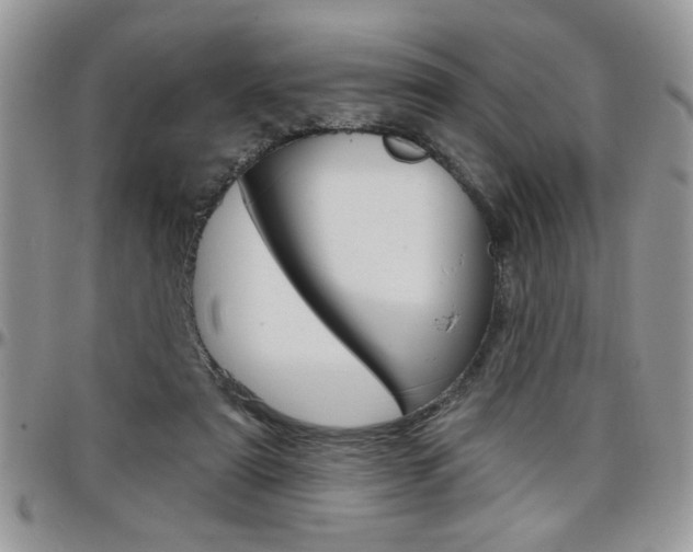 X0000097970307200803241025