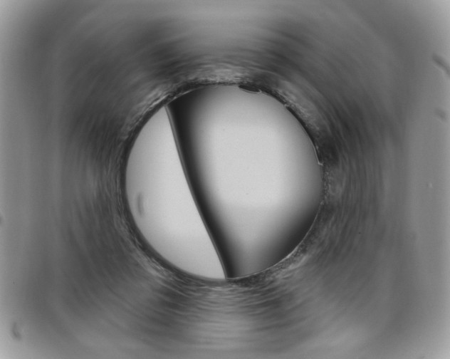 X0000097970309200803241025